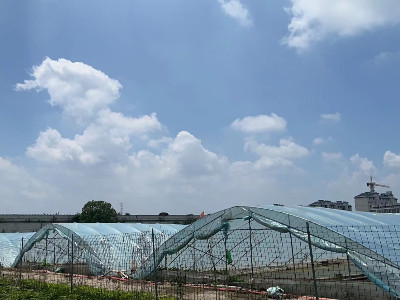 恩拓博高速增氧機(jī)上海使用案例！